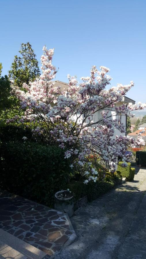 לינה וארוחת בוקר פורנובו די טארו Nel Giardino Di Oz מראה חיצוני תמונה