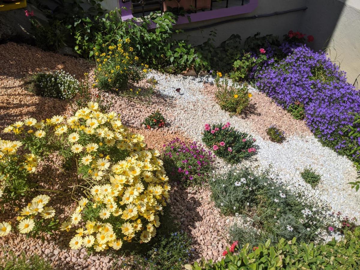 לינה וארוחת בוקר פורנובו די טארו Nel Giardino Di Oz מראה חיצוני תמונה